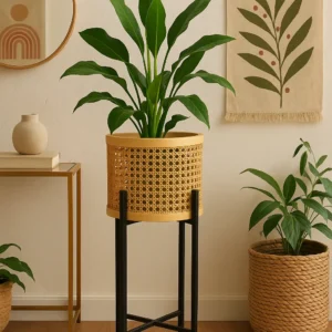 Orra Rattan Plant Pot with Stand