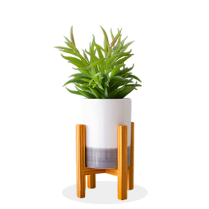 Plant Stand